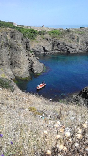 Rumeli Feneri'nde kayalıklarda Can Pazarı