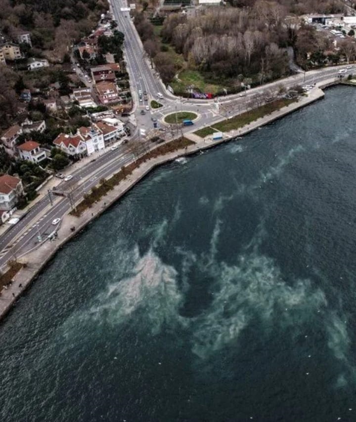 SARIYER'İ BOK GÖTÜRÜYOR!!! </br>ŞU HÂLE BAKIN! </br>İMAMOĞLU İLE ŞÜKRÜ GENÇ </br>SİZ NE İŞ YAPARSINIZ?