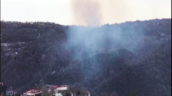 Sarıyer'de Ormanlık Alanda Yangın