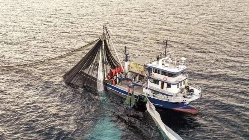 BALIKÇILARDAN AĞ ATMAYIN </BR>PALAMUT UCUZA GİTMESİN BİLDİRİSİ