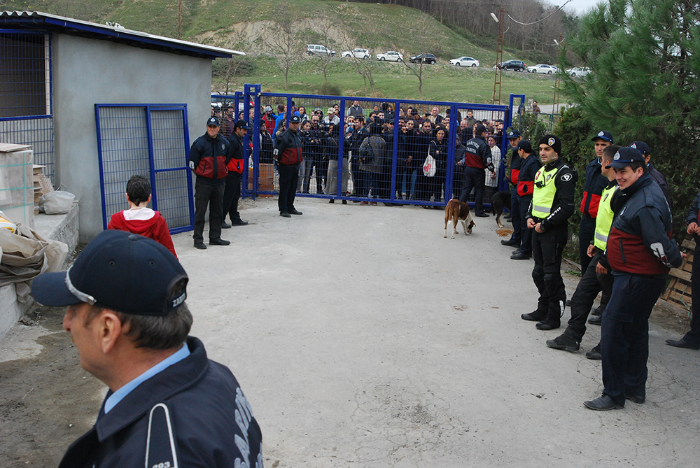 Hayvanseverler Kimliği Altında Provokatörler