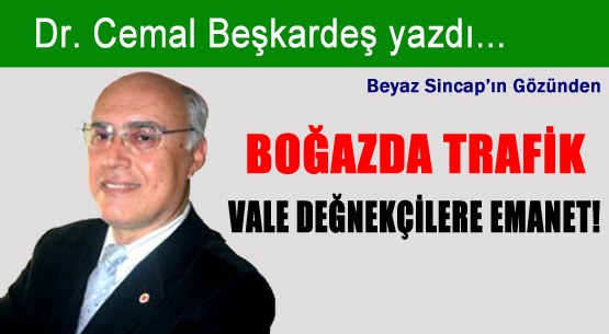 Dr Cemal Beşkardeş Yazdı