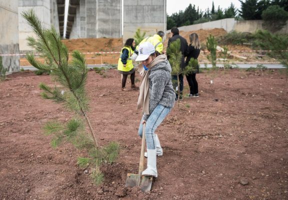 Uskumruköy'de  Fidanlar Toprakla Buluştu