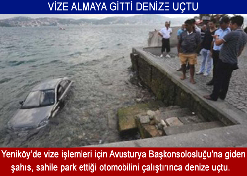 Vize Almaya Gitti, Denize Uçtu