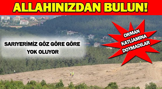 ALLAHINIZDAN BULUN