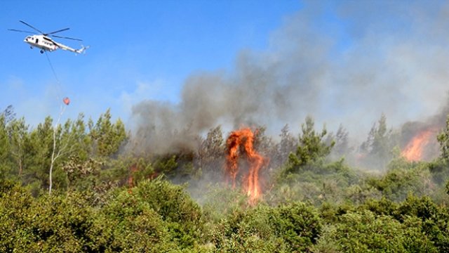 3. Köprü Yakınlarında Yangın Paniği