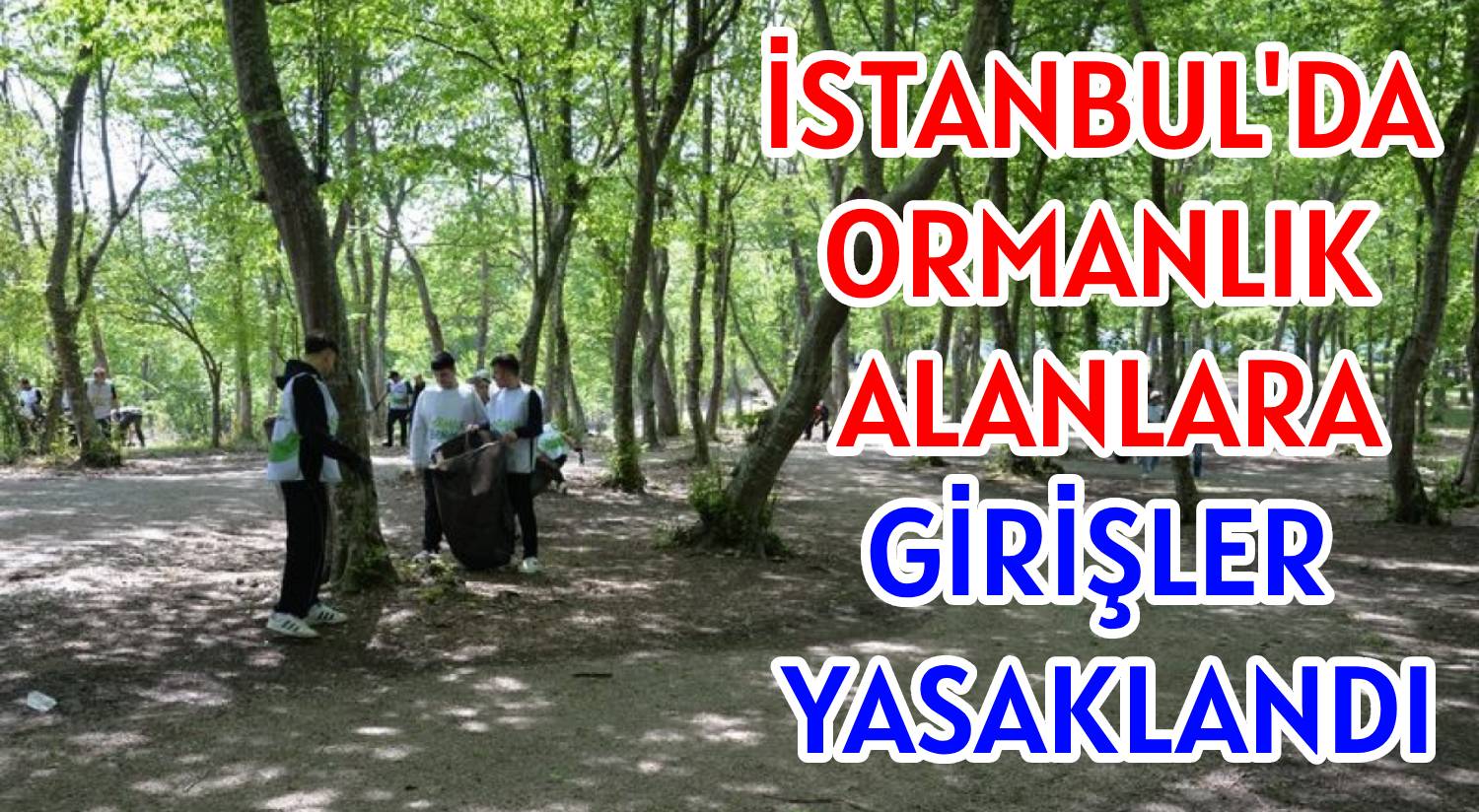 İSTANBUL'DA ORMANLIK ALANLARA </br>GİRİŞLER YASAKLANDI